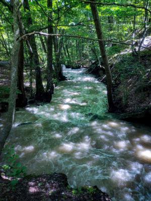 Прикрепленное изображение: IMG_20210620_120858.jpg